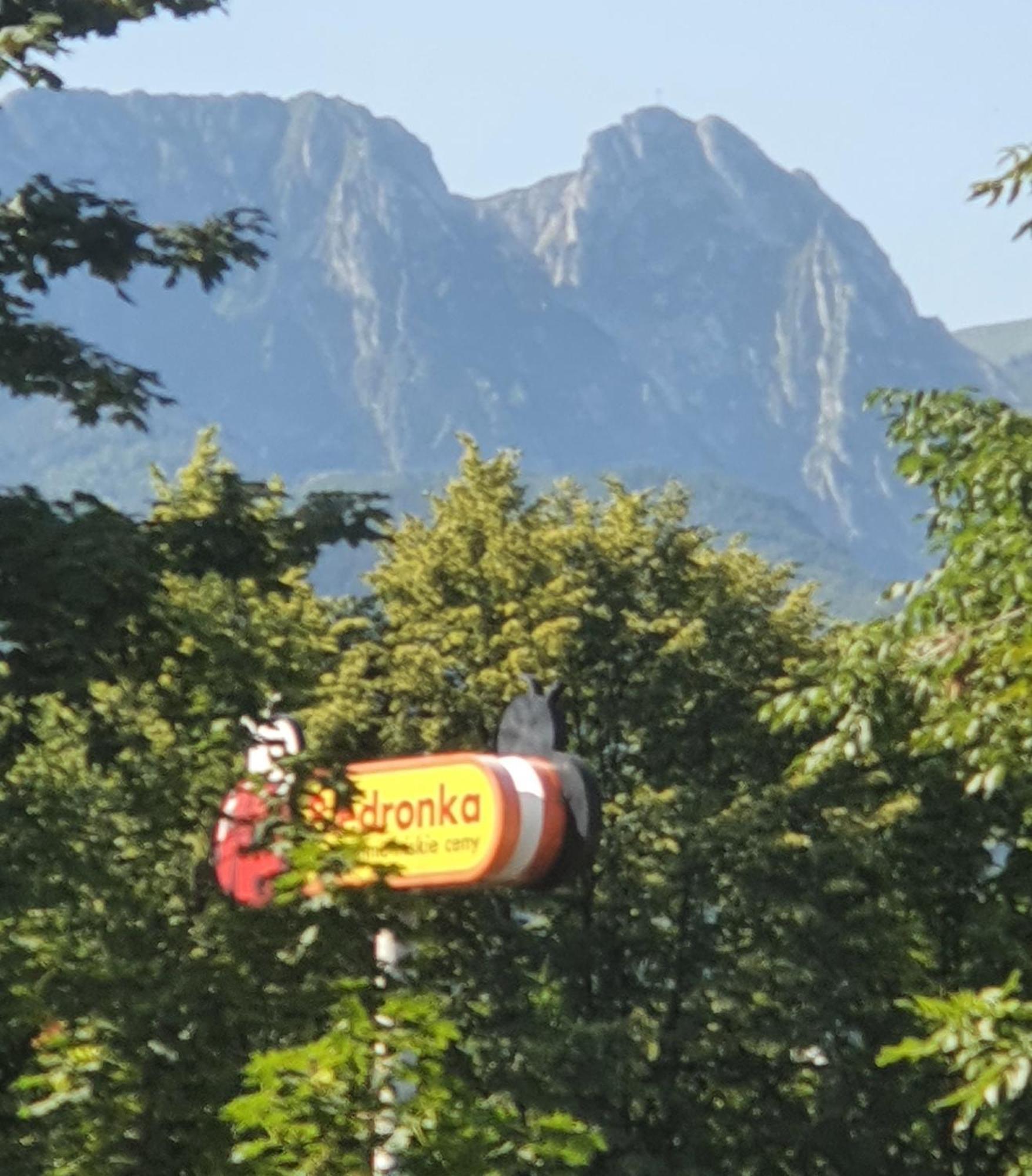 Apartament Orkisz Zakopane Habitación foto